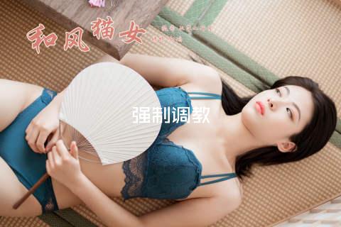 强制调教